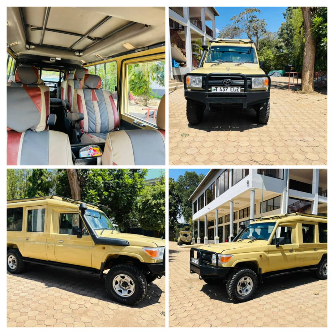 Our Safari Vehicle